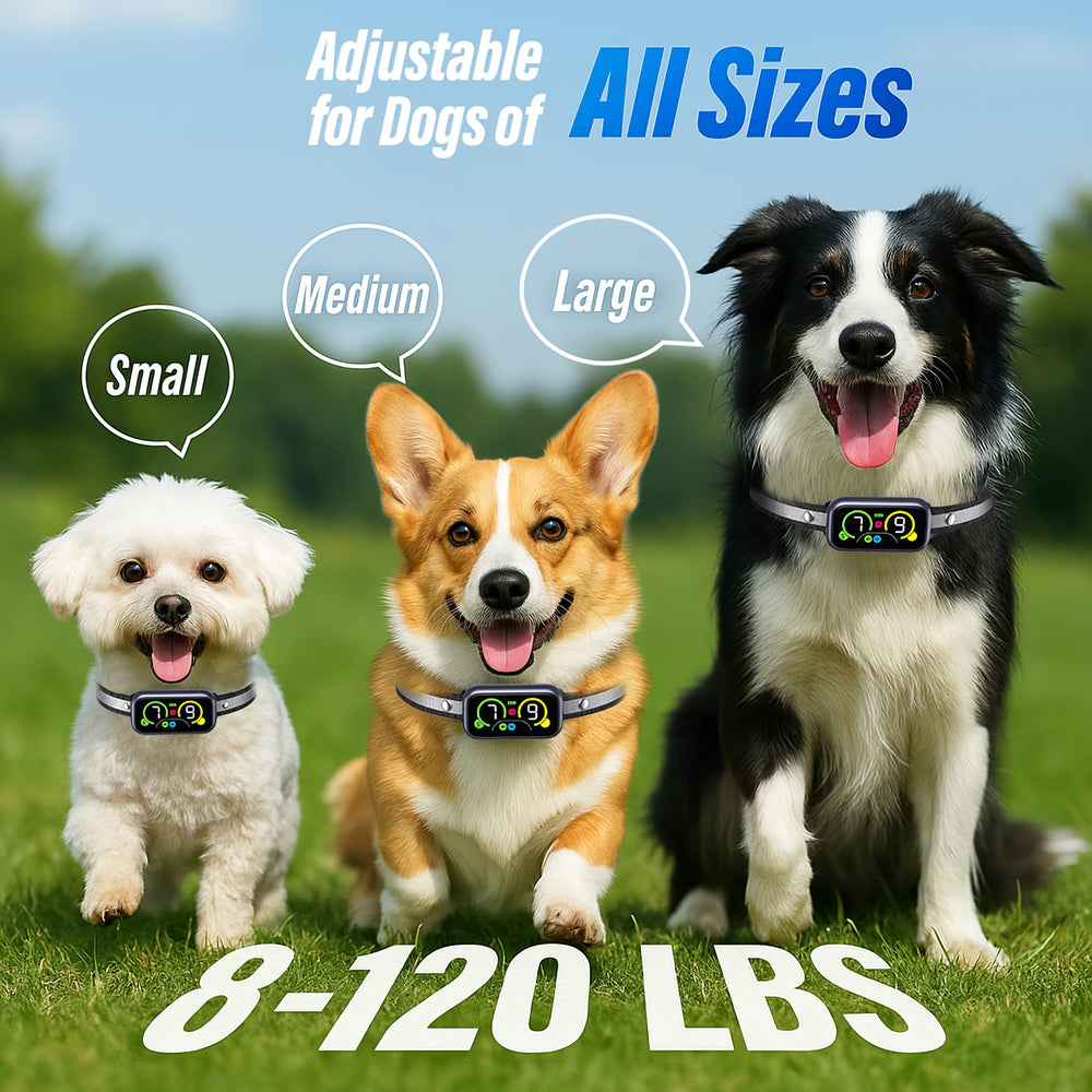 Kollgux dog bark collar dual-display readouts show sensitivity and correction levels.