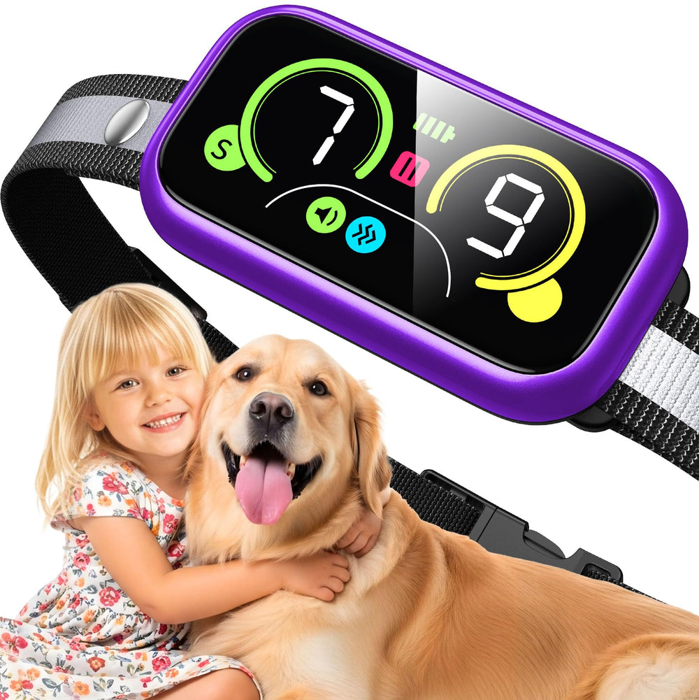 Kollgux Dog Bark Collar Pro on-dog view demonstrates discreet training at home