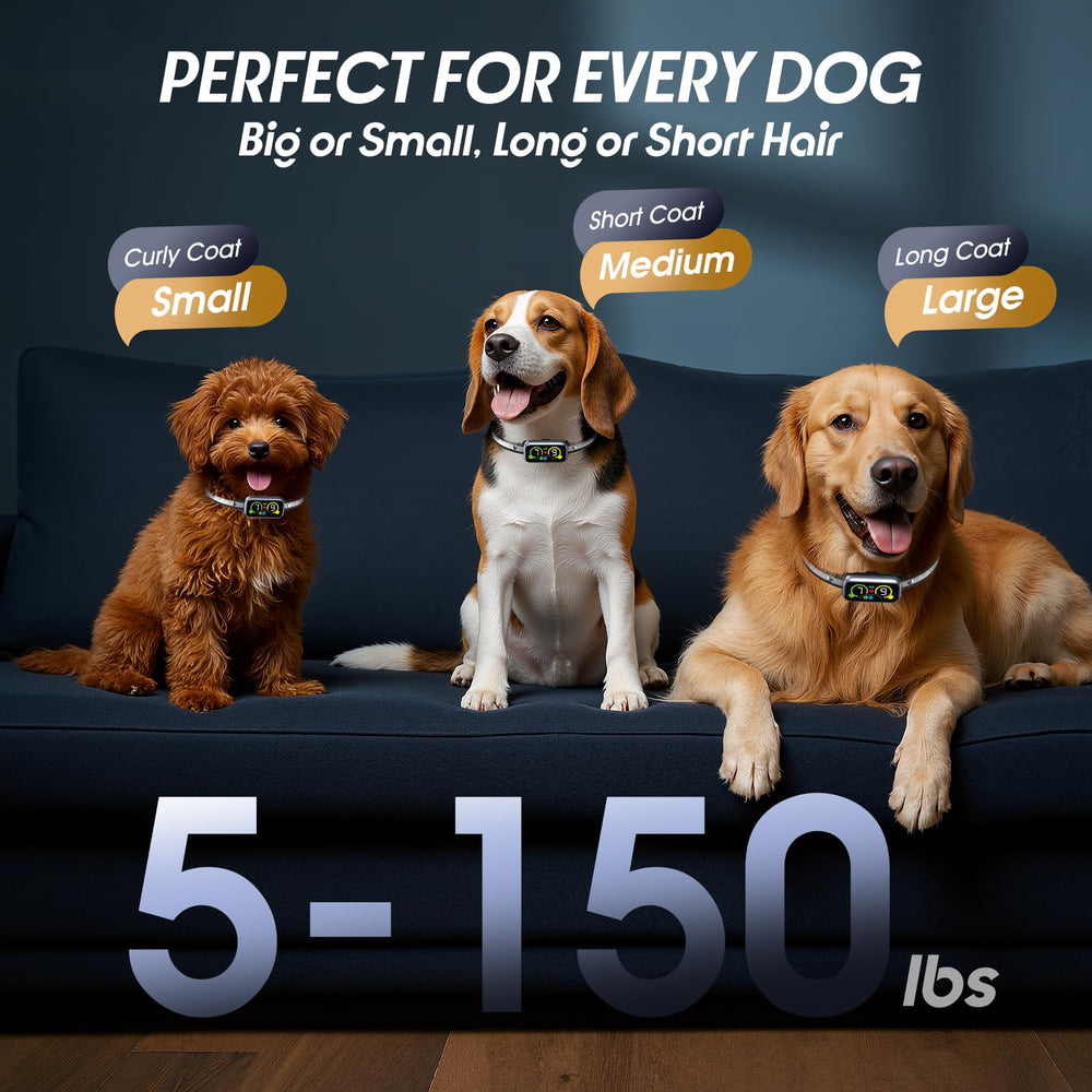 Kollgux Dog Bark Collar Pro packaging shows durable training gear