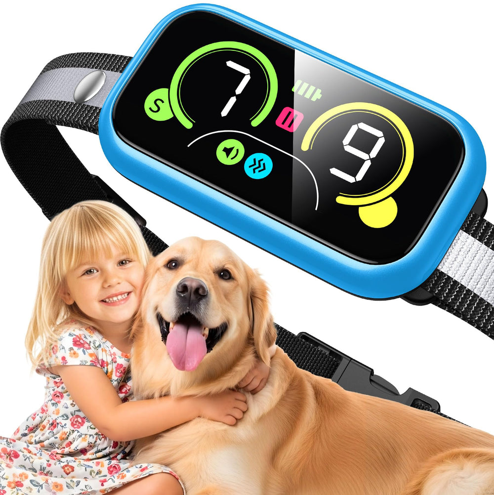 Kollgux Dog Bark Collar Pro worn by dog during outdoor training for calmer sessions