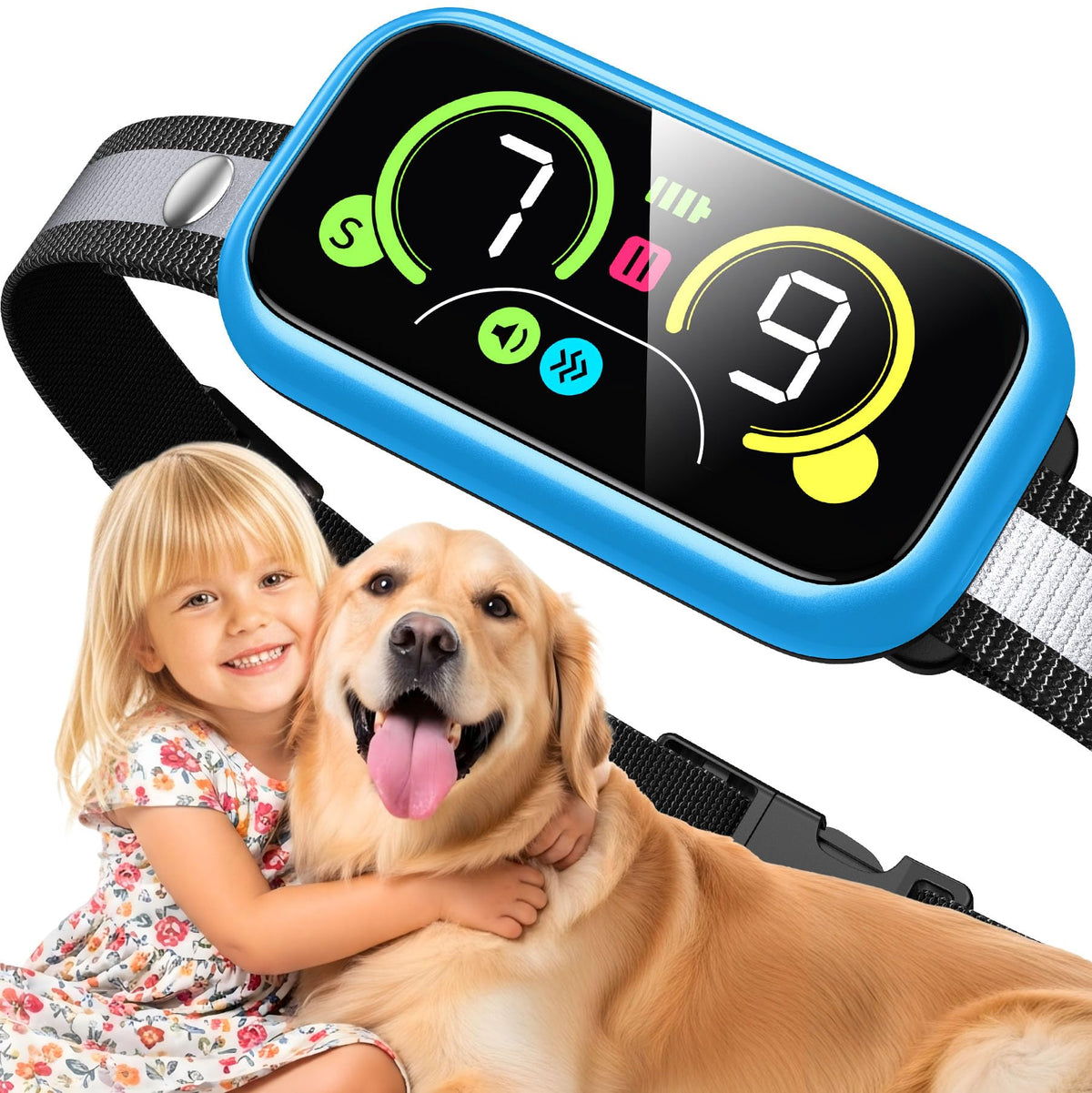 Kollgux Dog Bark Collar Pro worn by dog during outdoor training for calmer sessions