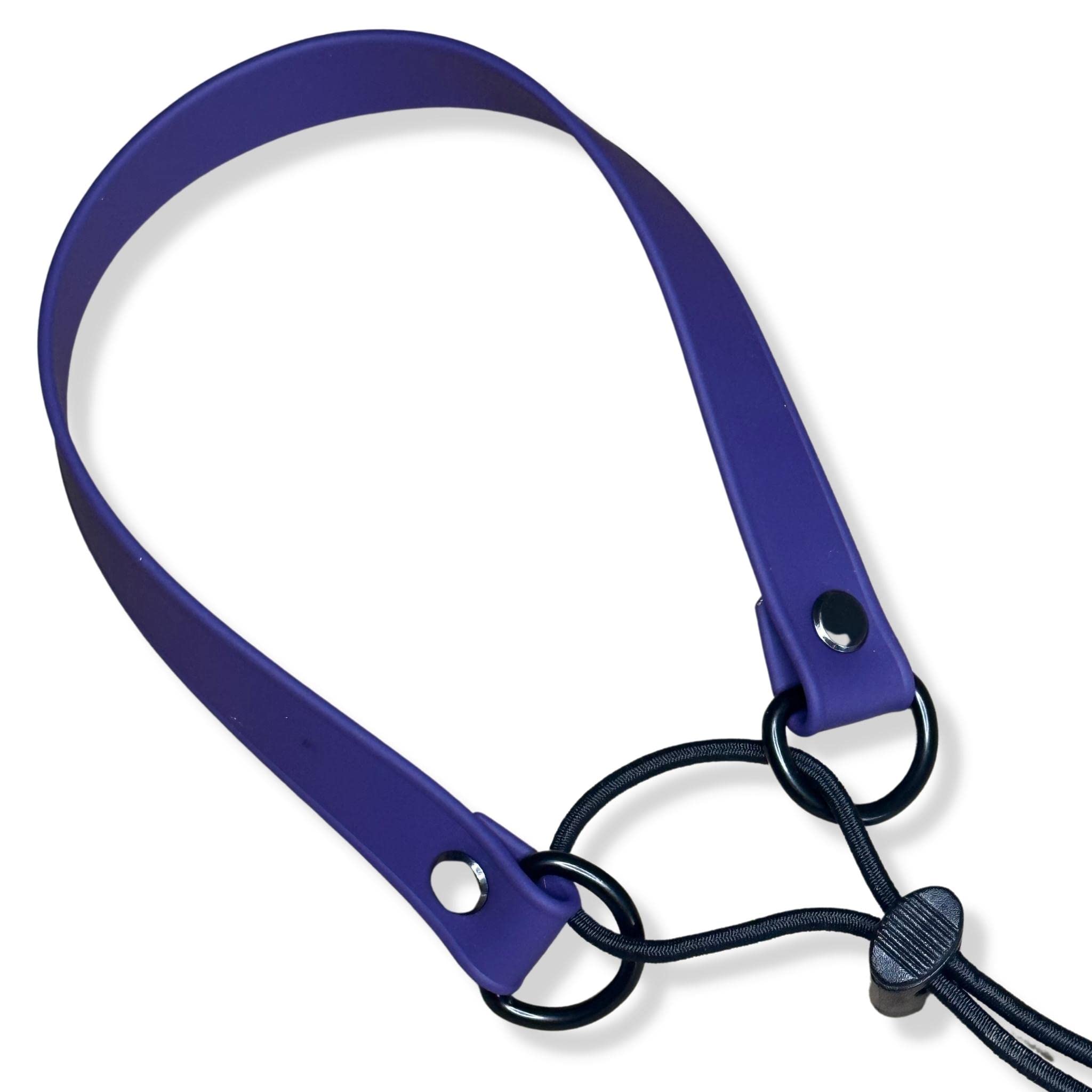 Kona Puppy neck size range 14-26 inches demonstrated on a real dog.