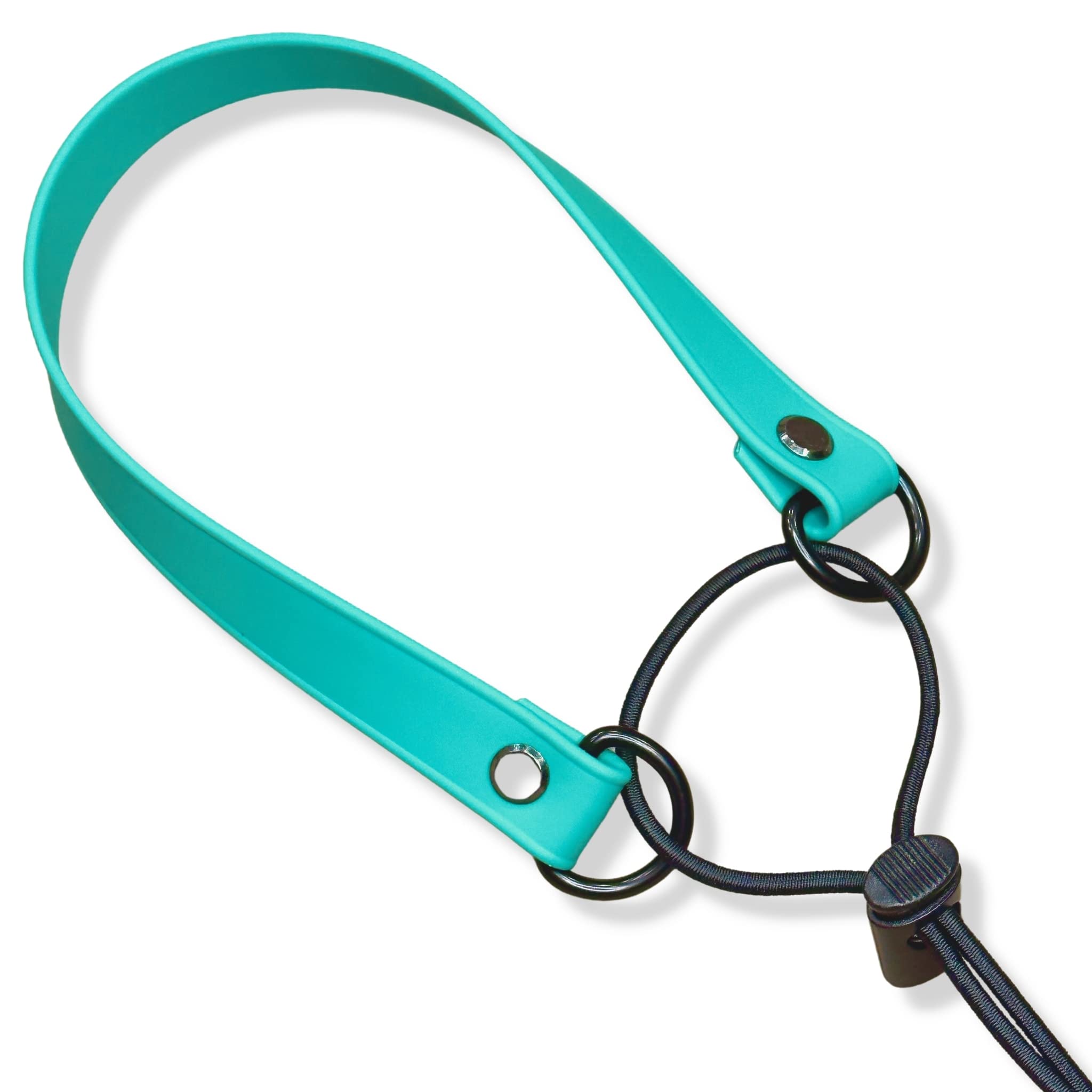 Kona Puppy one-inch width strap suits larger dogs and collars.