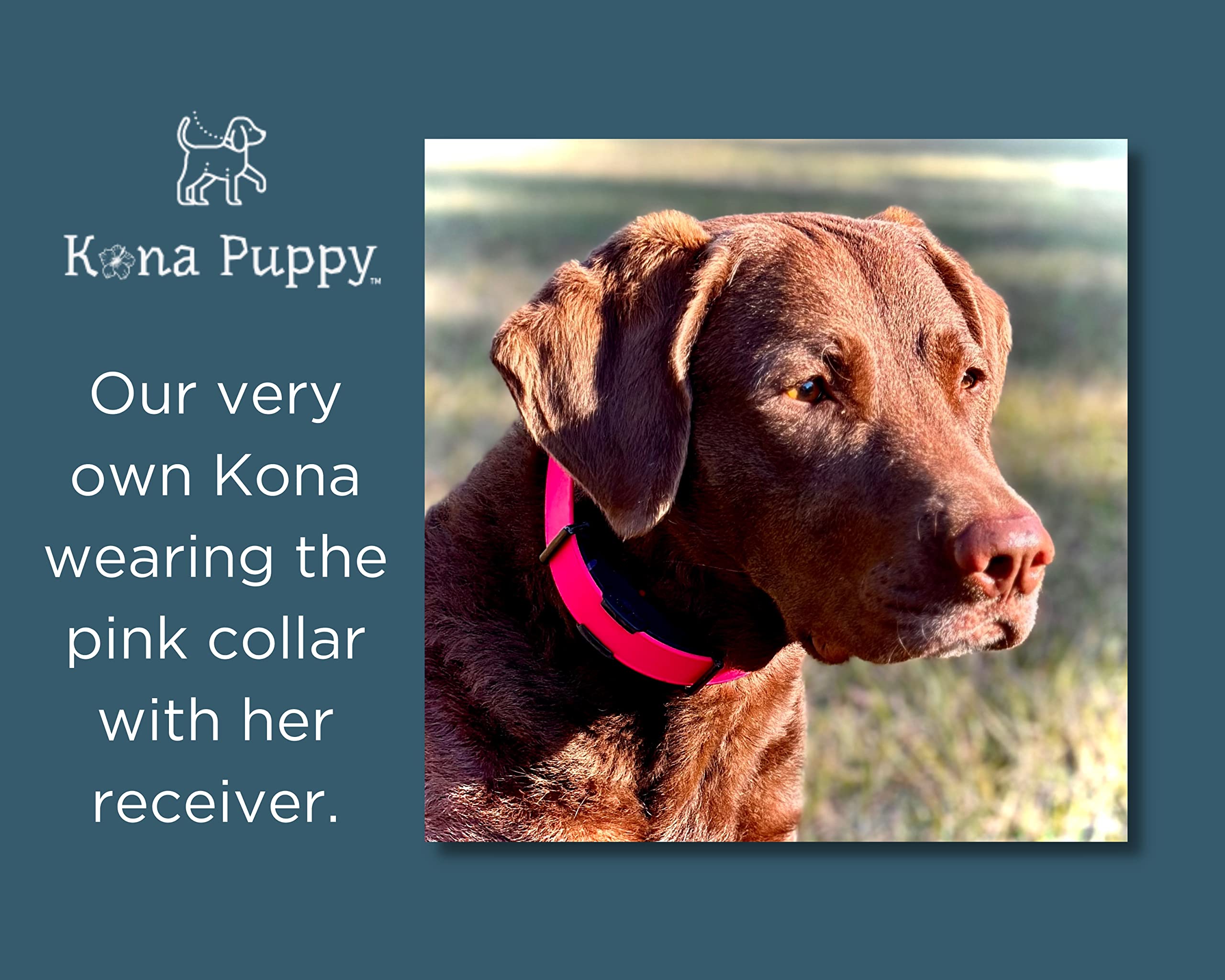 Kona Puppy push-button bungee lock promotes fast, secure fit.