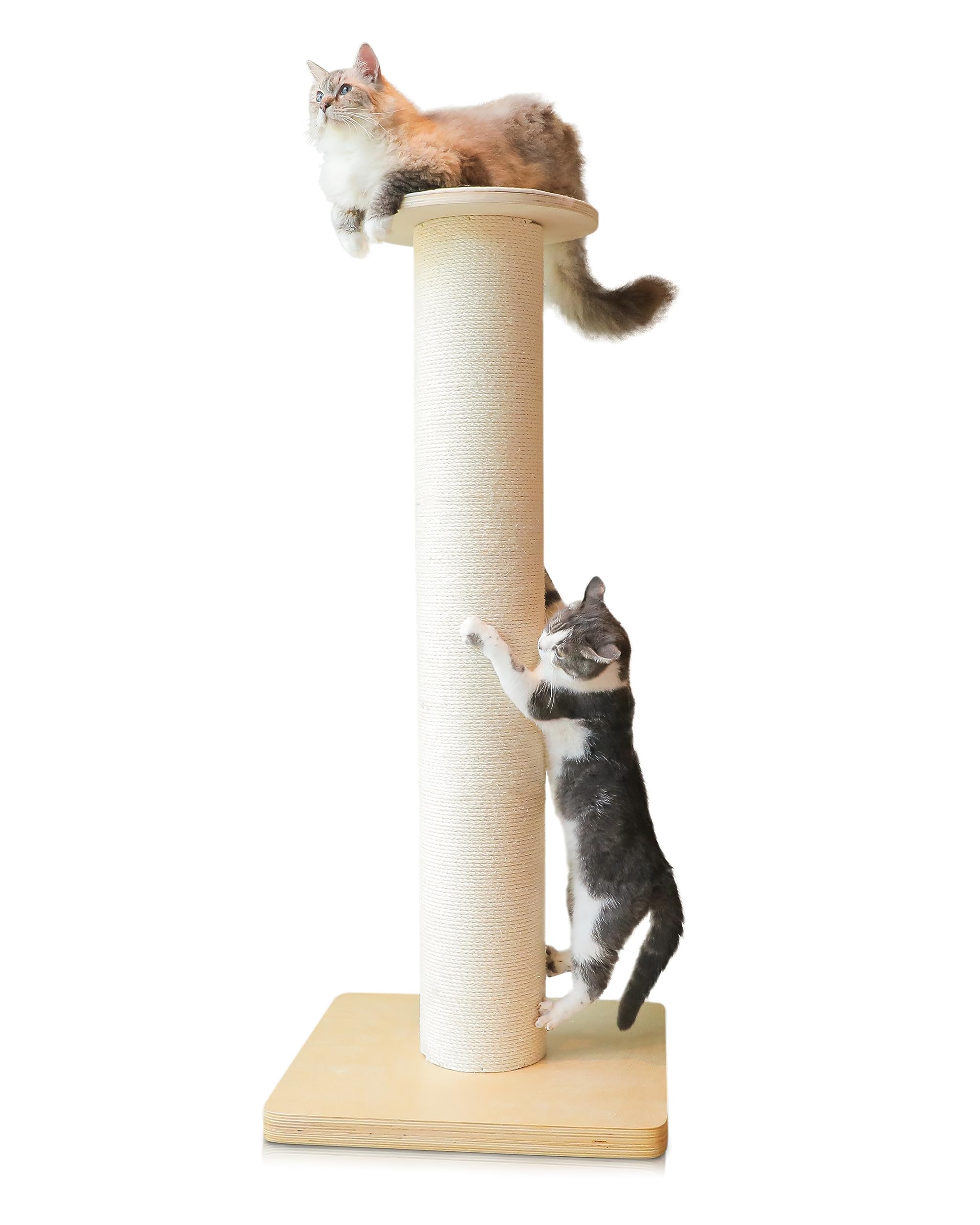 KONELCARE 50in tall cat scratching post provides elevated play for large cats