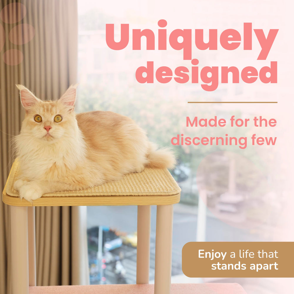 KONELCARE stable wood frame, 57 lbs, wobble-free base for confident climbing.