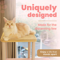KONELCARE stable wood frame, 57 lbs, wobble-free base for confident climbing.