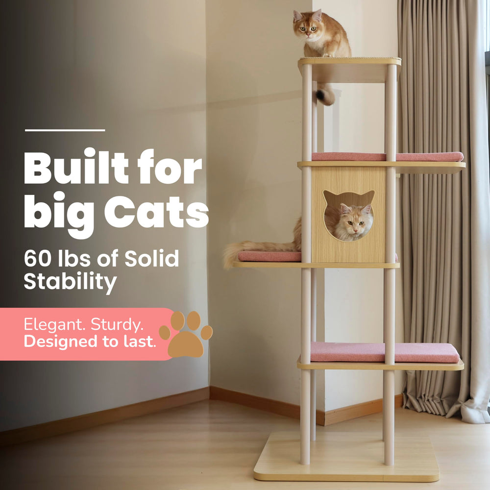 KONELCARE XL platforms 25-6x15-7-inch, roomy perches for Maine Coons and multi-cat households to stretch comfortably.