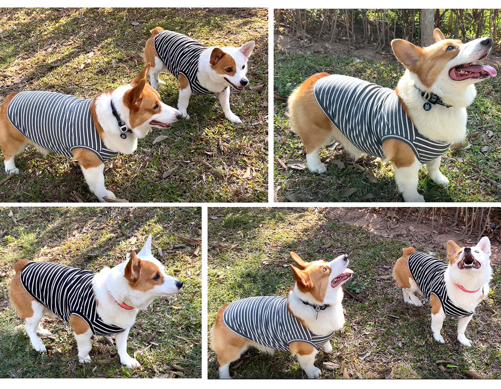 Koneseve dog shirt vest size-chart guide helps pick the right fit