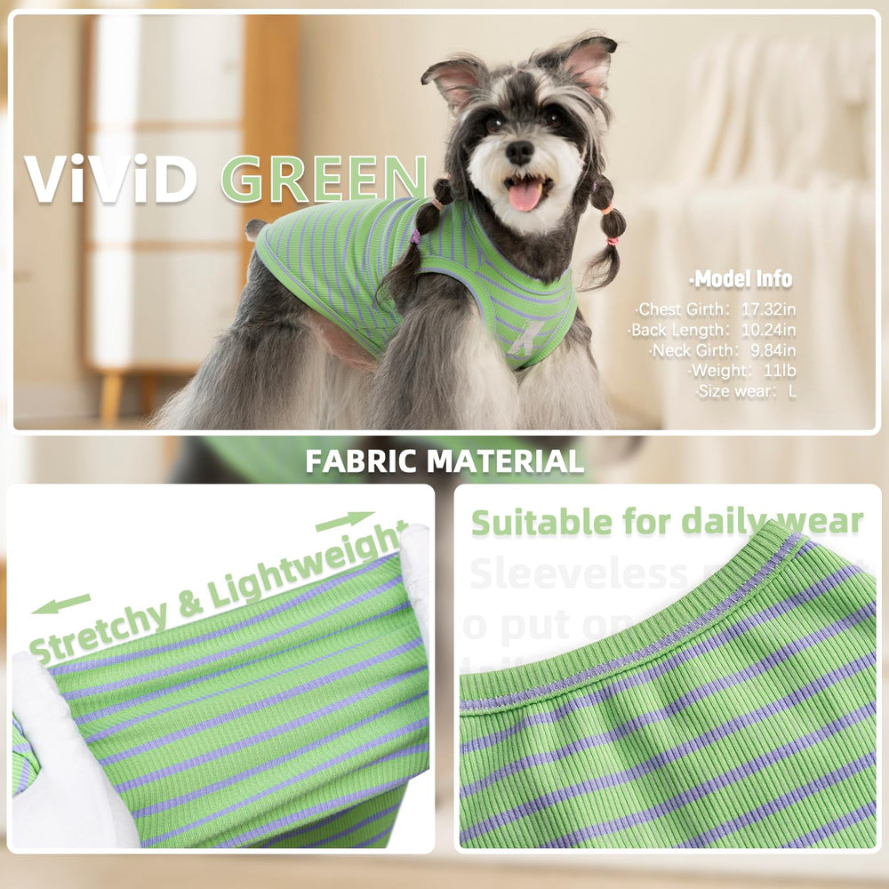 Koneseve size M fits small breeds for everyday walking and lounging.
