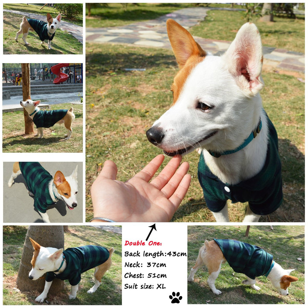 Koneseve holiday pet costume in green ideal for festive photos