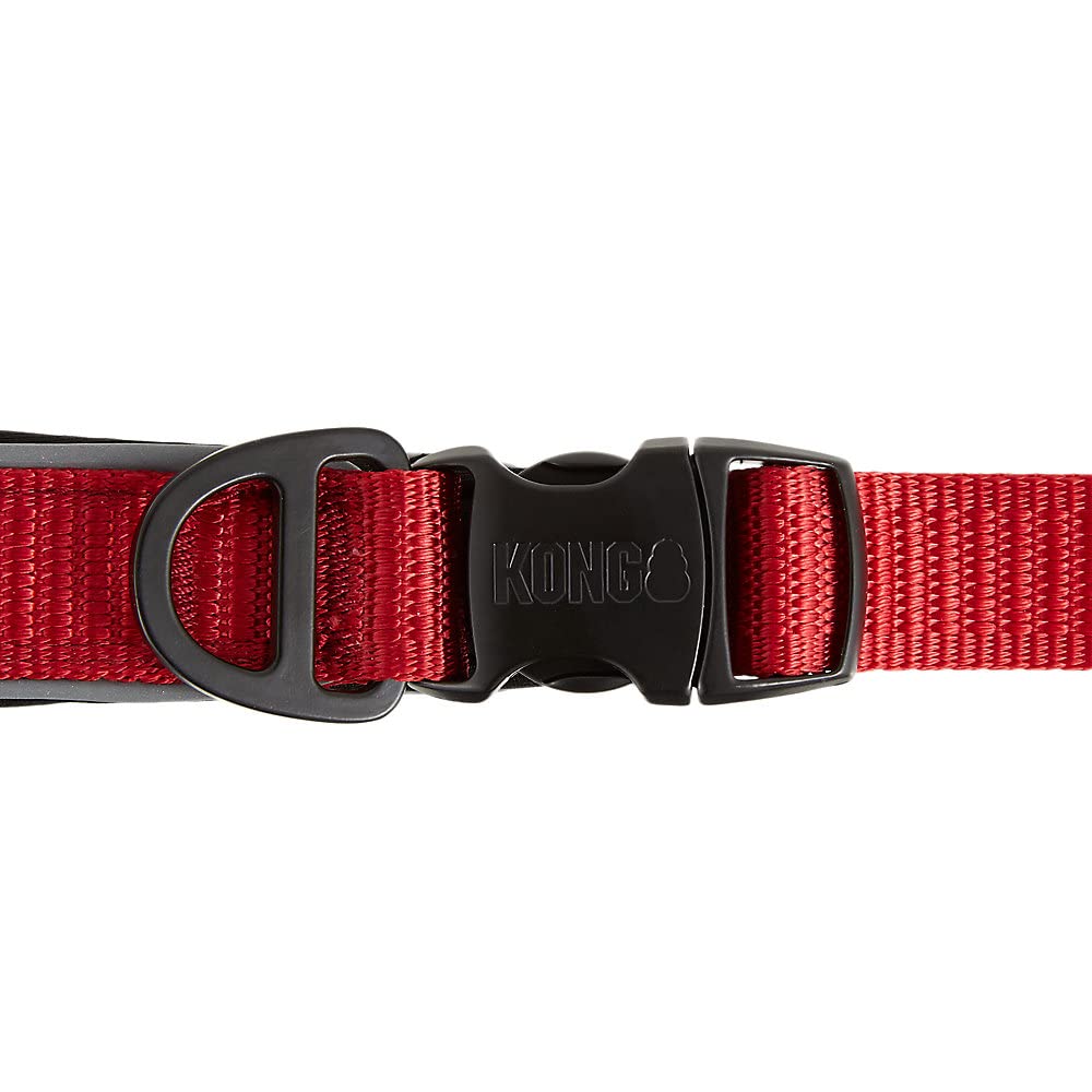 KONG 6-foot leash in use to balance control and freedom on trails.