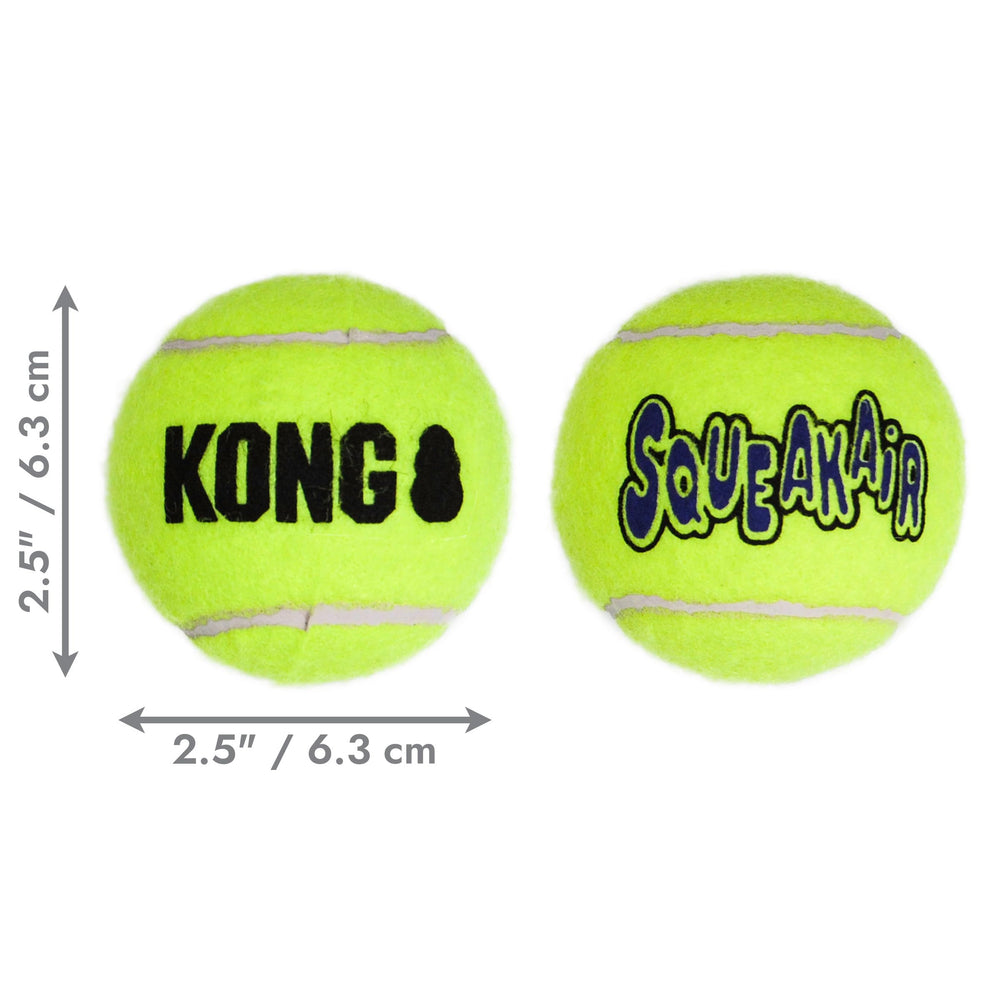 Dog fetching with KONG SqueakAir ball in action