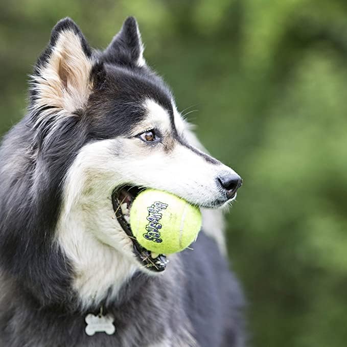 KONG Air Squeakers Tennis Balls X-Small bundle shot emphasizing 4-pack convenience for multi-dog homes