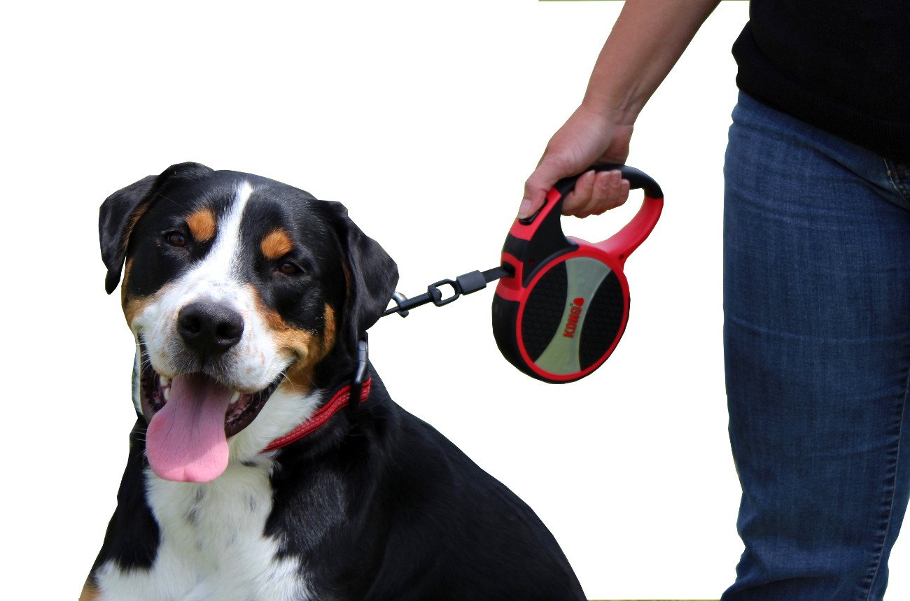 KONG Alcott Terrain leash uses durable materials for long-lasting adventures.