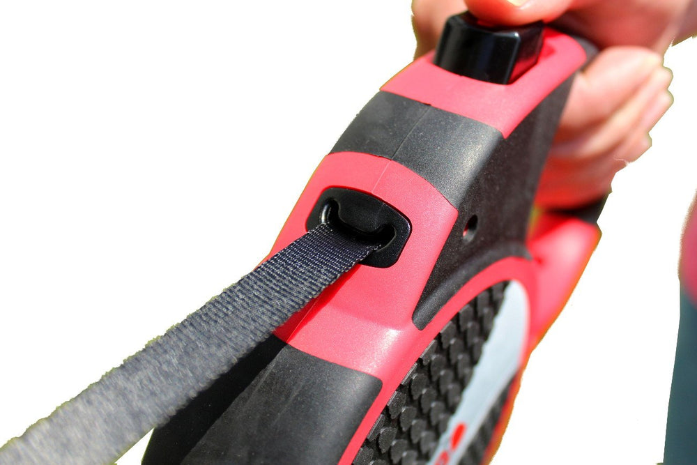 KONG Alcott Terrain leash includes a safety collar for immediate safety.