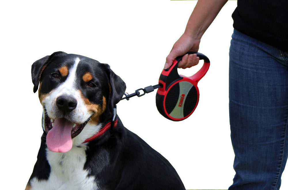 KONG Alcott Ultimate leash during a casual neighborhood stroll