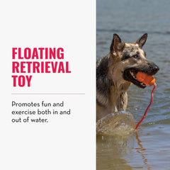 KONG Aqua en color neón, mayor visibilidad en agua para perros.