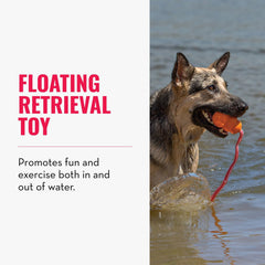 KONG Aqua rope enables longer throws for extended fetch workouts