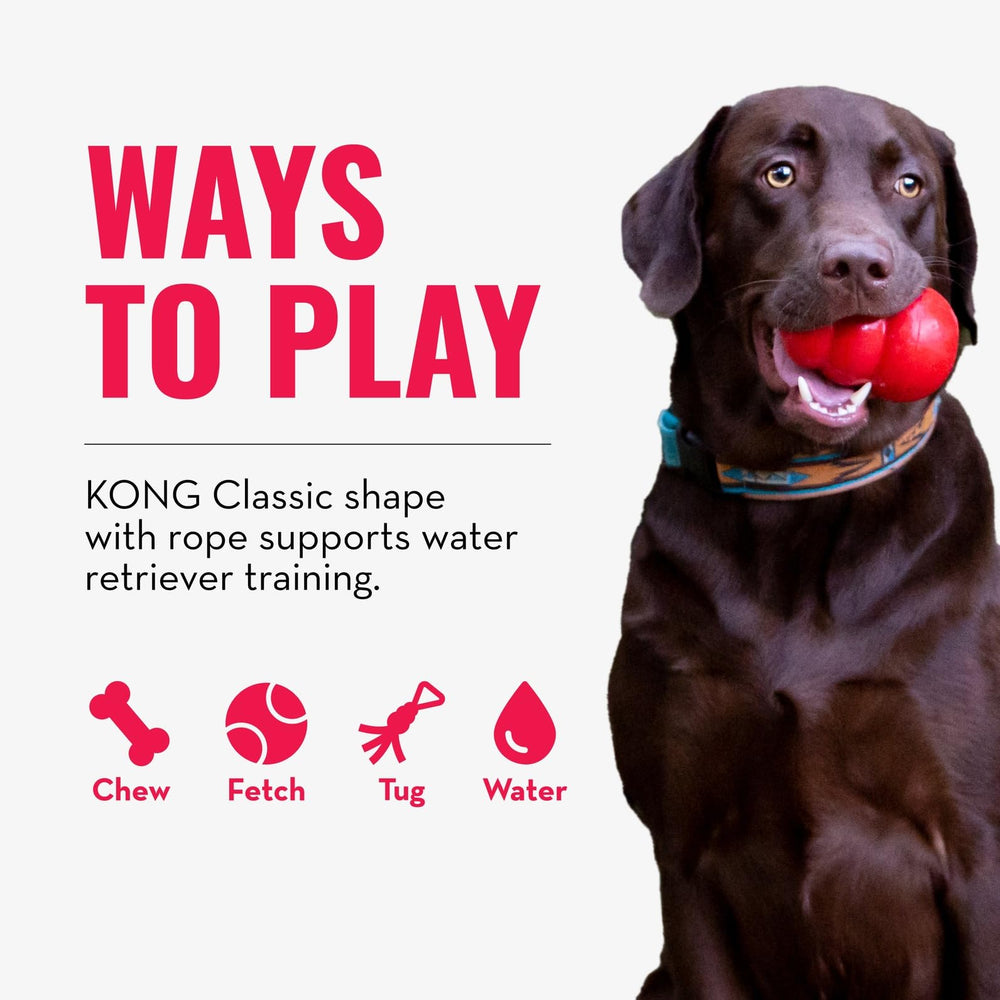 KONG Aqua tamaño medio para perros medianos durante juego.