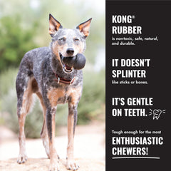 KONG Ball two sizes shown helps owners choose the right fit for medium to large dogs.