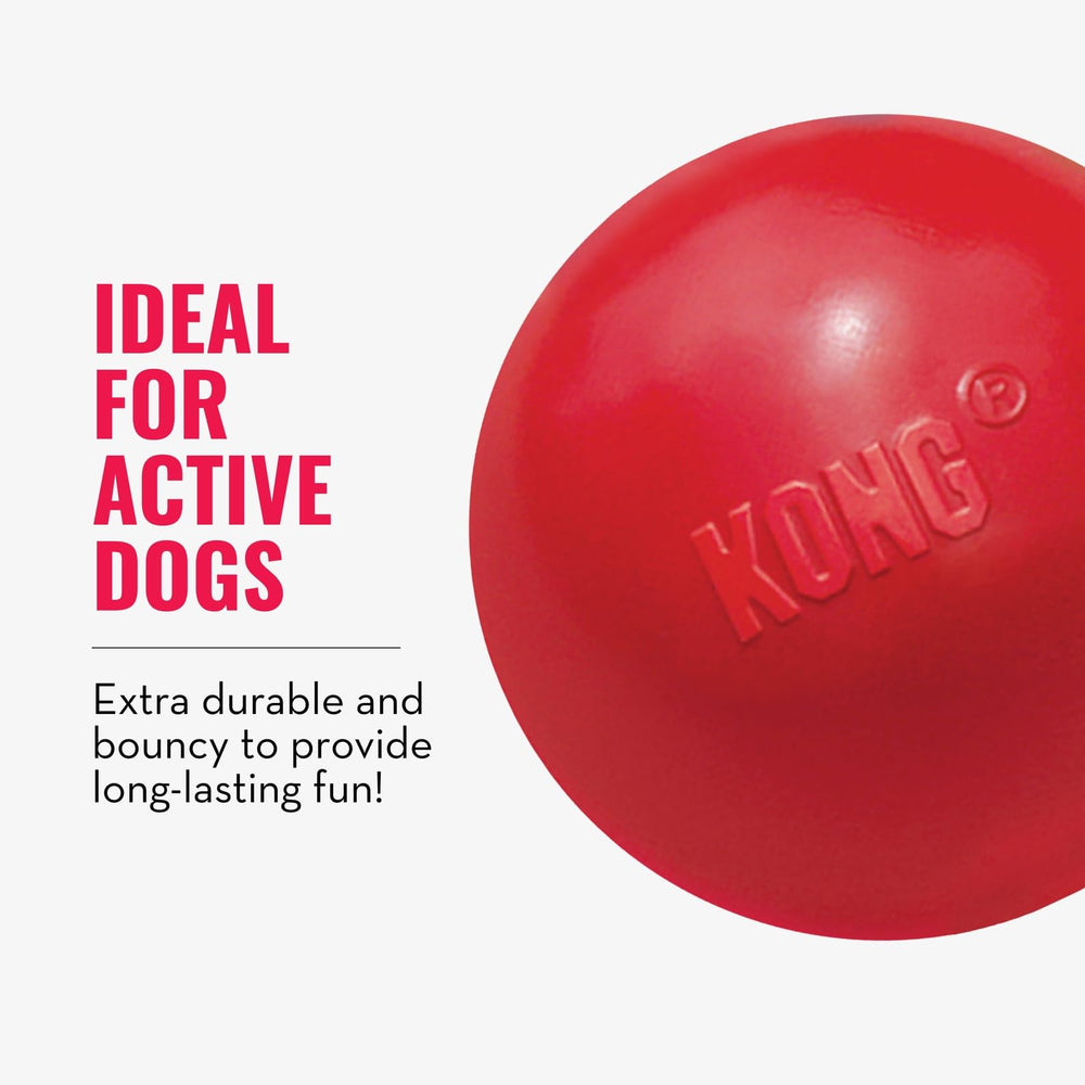 KONG Ball with Hole closeup shows puncture-resistant toy design.
