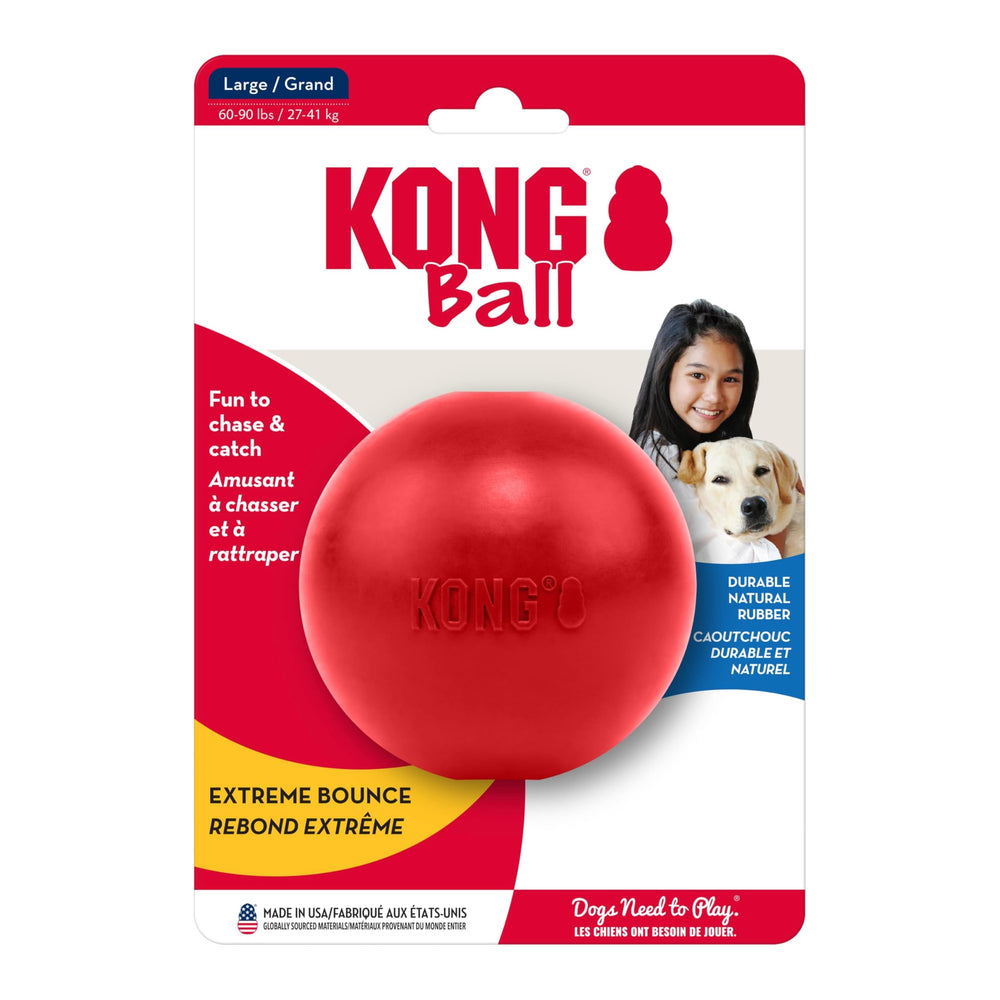 KONG Ball con supervisión, recordatorio de seguridad durante el juego