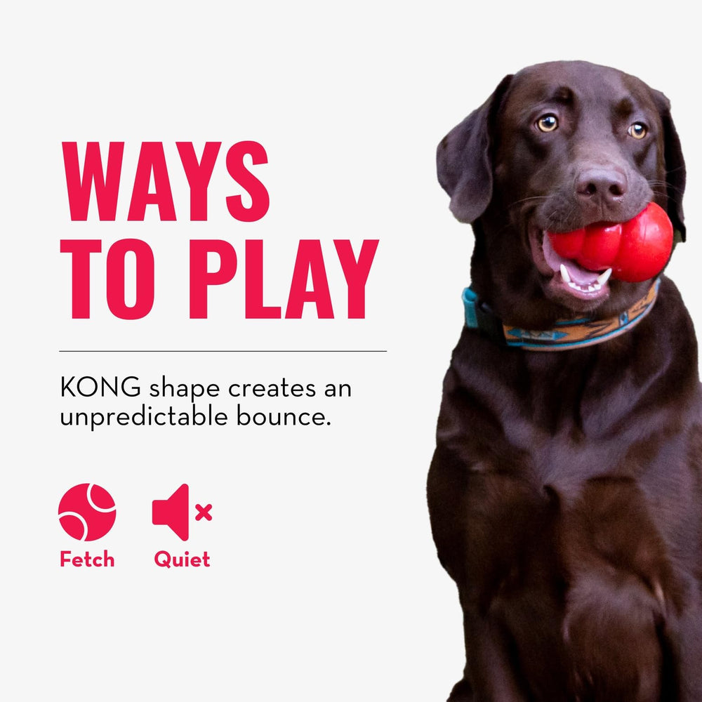 KONG Bounzer X-Large designed for big dogs needing robust chew-and-throw fun.