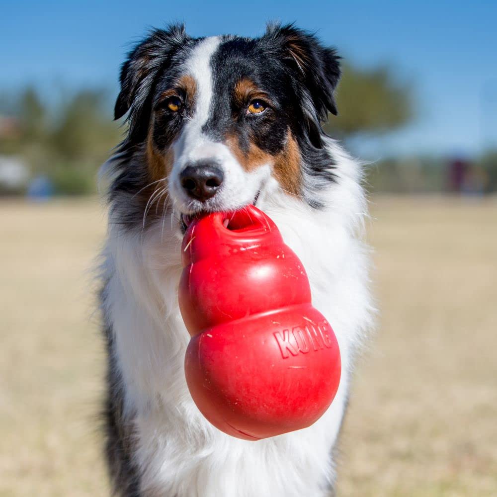 KONG Bounzer X-Large shows squeezable sensation for self-entertainment during solo play.