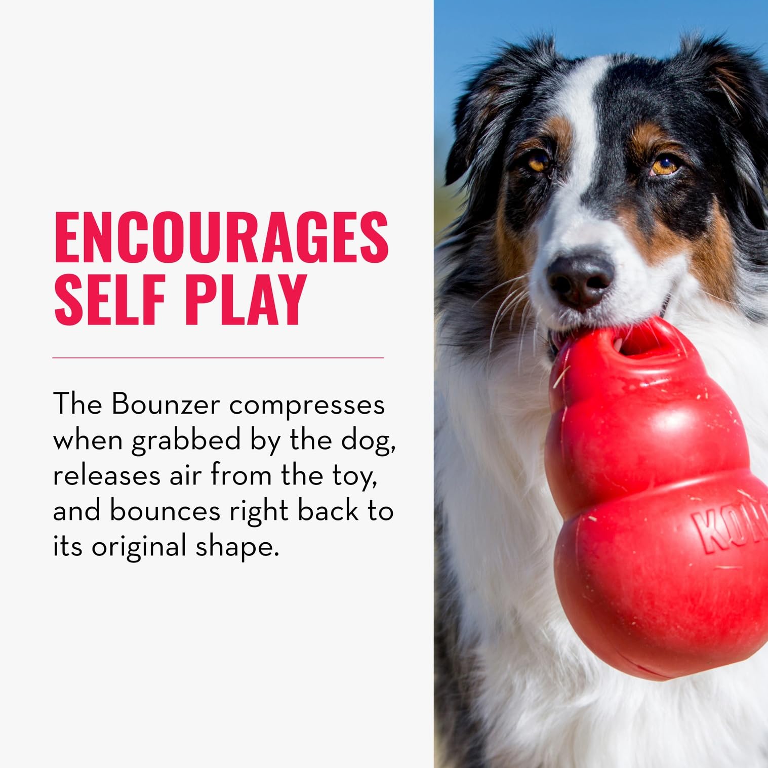 KONG Bounzer X-Large demonstrates unpredictable bounce for exciting fetch sessions.