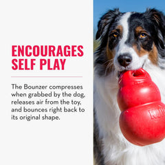 KONG Bounzer X-Large demonstrates unpredictable bounce for exciting fetch sessions.