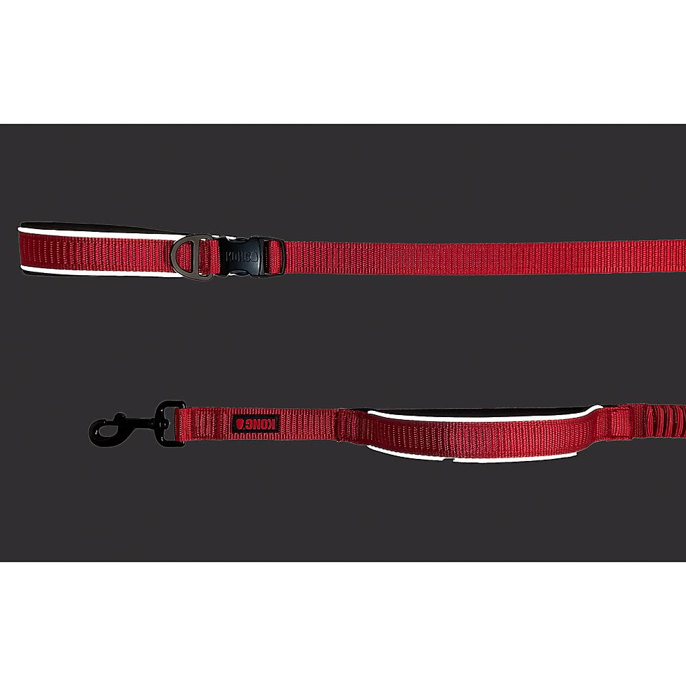 KONG bungee cord leash that softens pulls during energetic dogs and hikes.