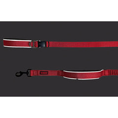 KONG bungee cord leash that softens pulls during energetic dogs and hikes.
