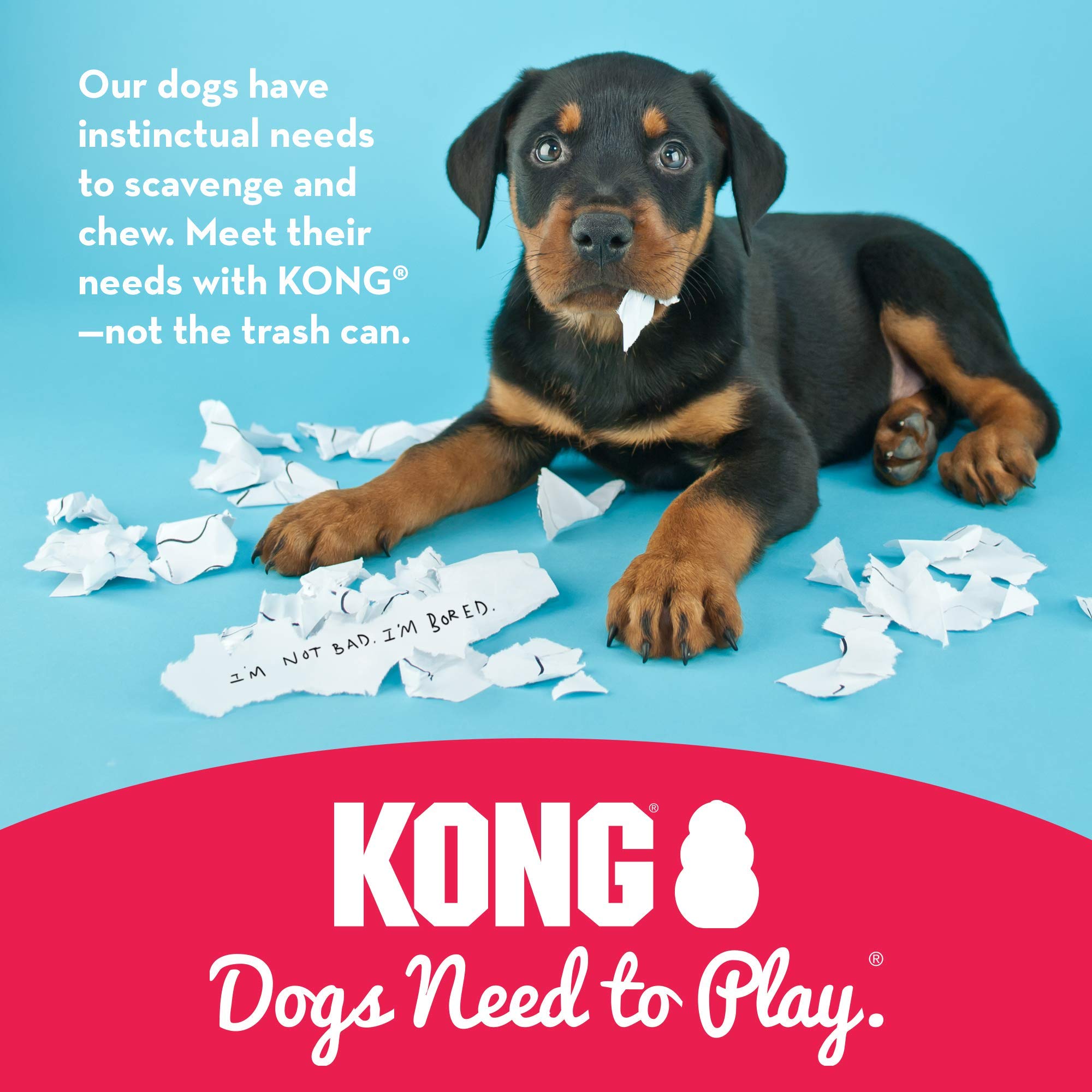 KONG Classic-dishwasher-safe label — easy cleanup after playtime.