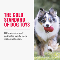 KONG Classic durable-natural-rubber-closeup highlights tough chew resilience for chewers