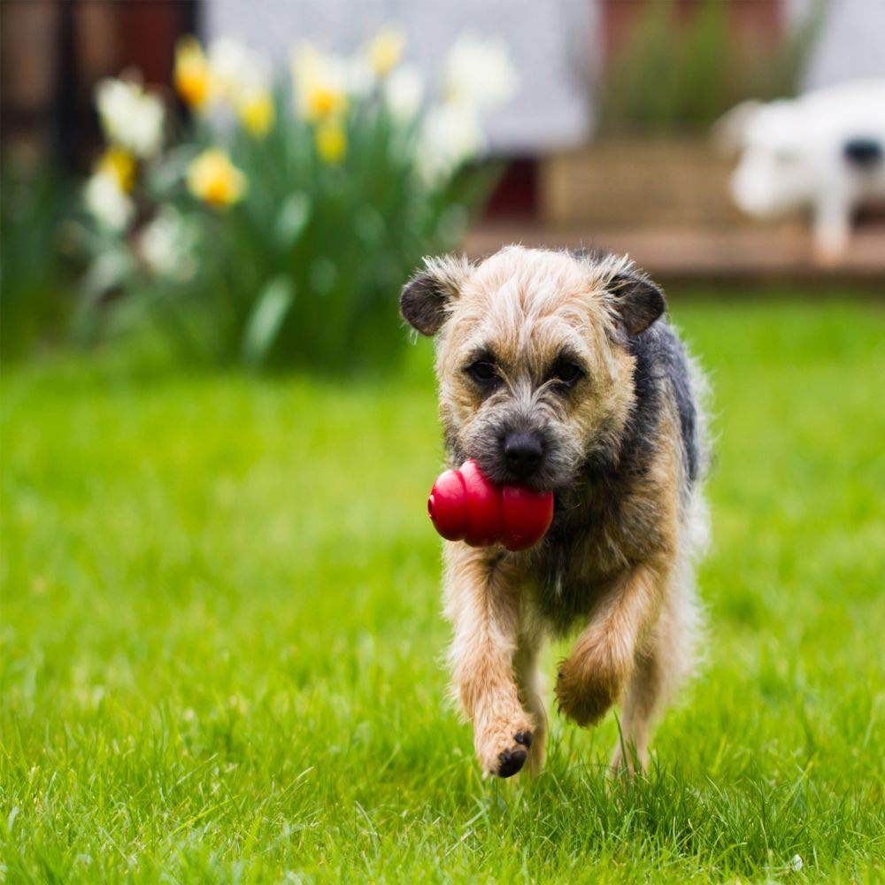 KONG Classic Medium dog toy red, side view, unpredictable bounce for fetch.