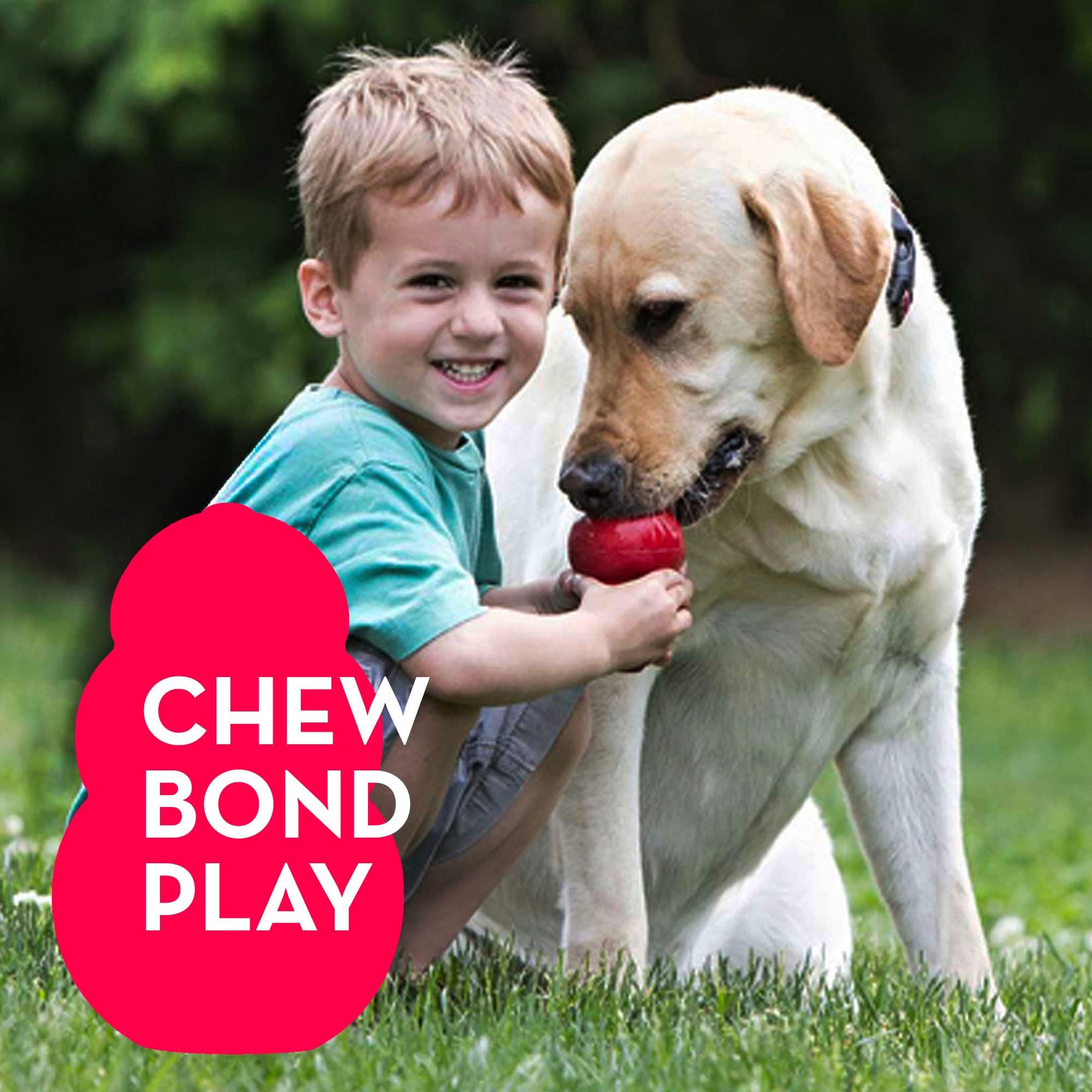 KONG Classic-pack-of-2 — value set for multi-dog households.