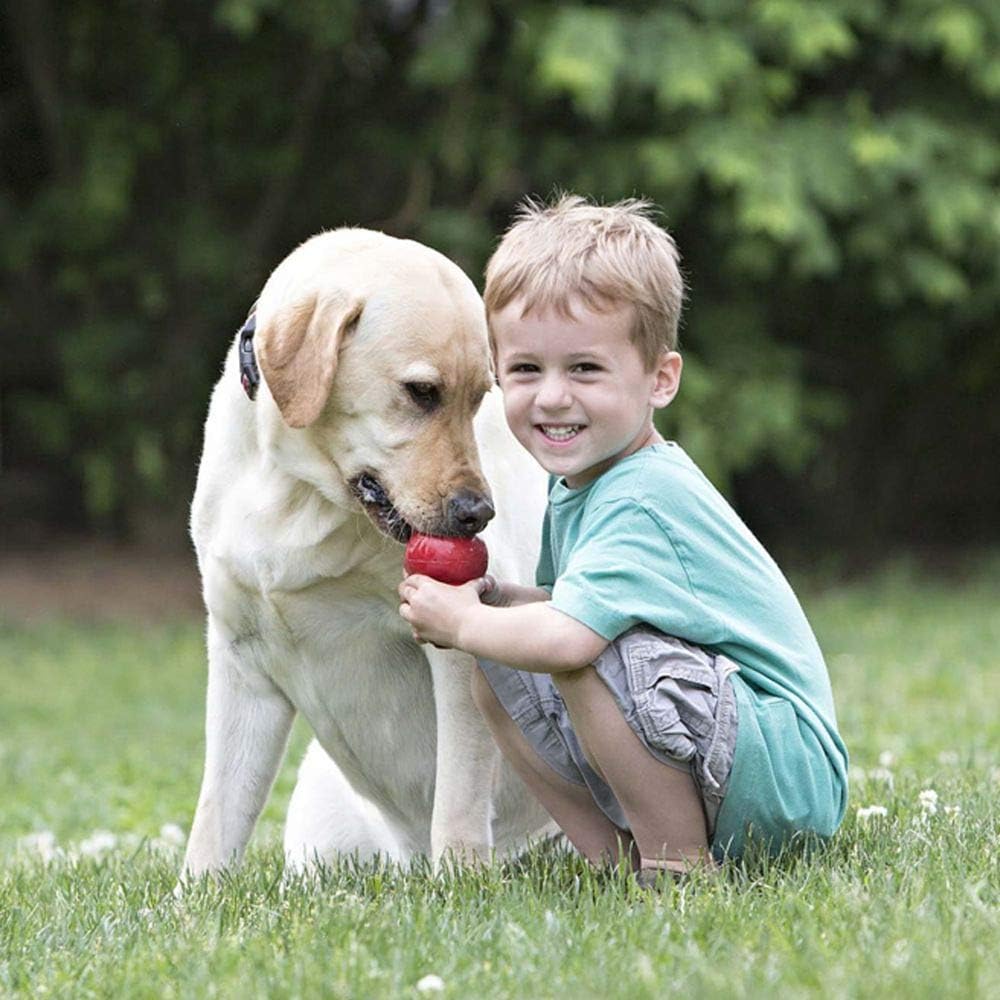 KONG Classic stuffed-dog-toy-kibble shows treat-filled play for enrichment.