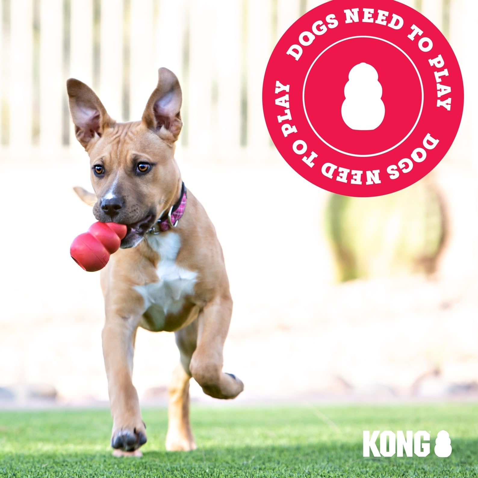 Made in the USA branding and vet/trainer recommendations for KONG Classic