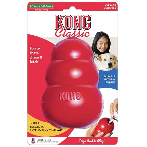 Owner rewards dog with snacks during play using the hollow interior of KONG Classic