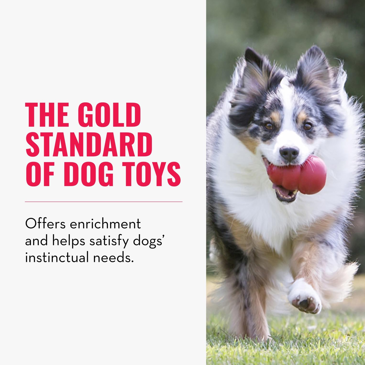 KONG Classic stuffing-capacity close-up shows fill options like kibble and peanut butter.