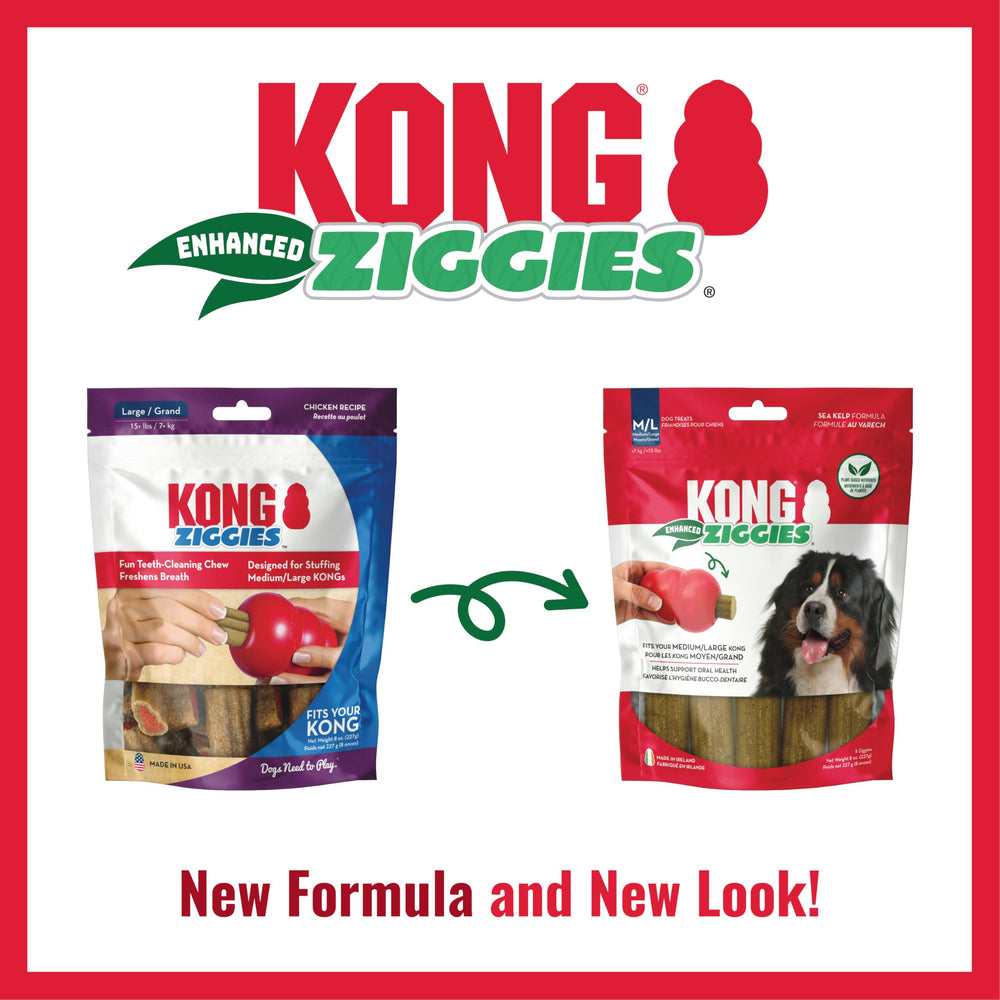 KONG Classic toy stuffed with Ziggies for extended play sessions.