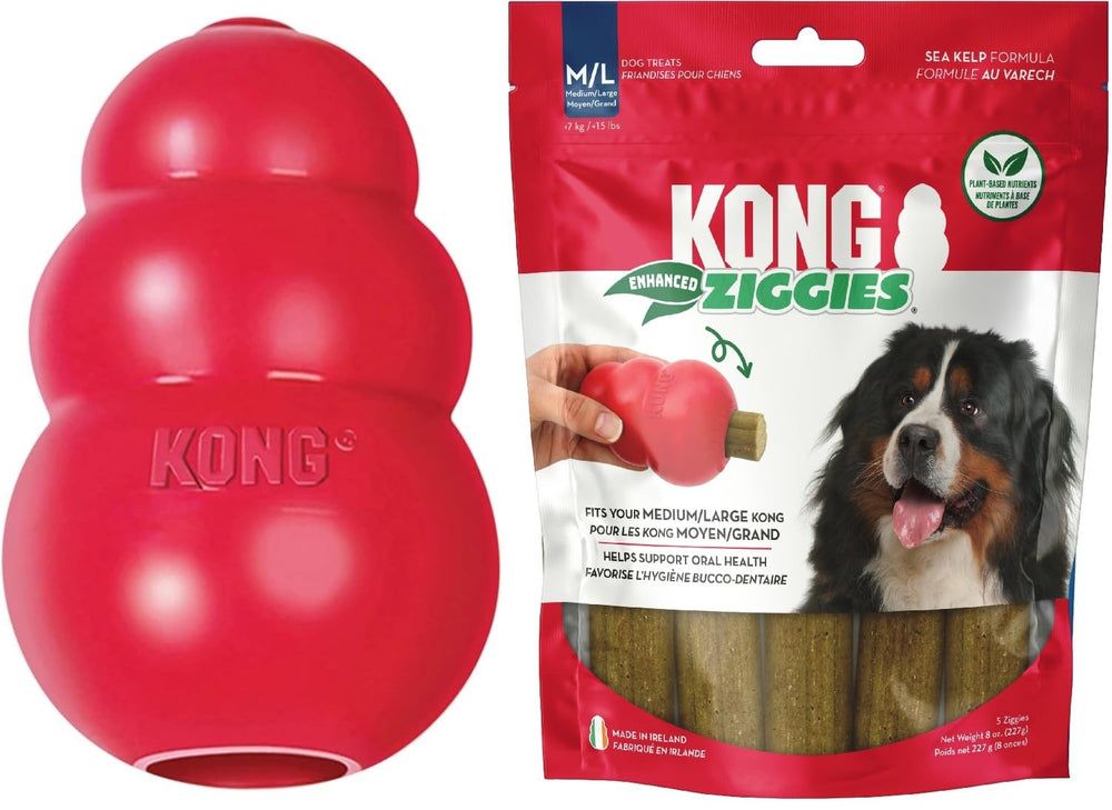 KONG Classic red toy for durable chews and interactive fetch play.