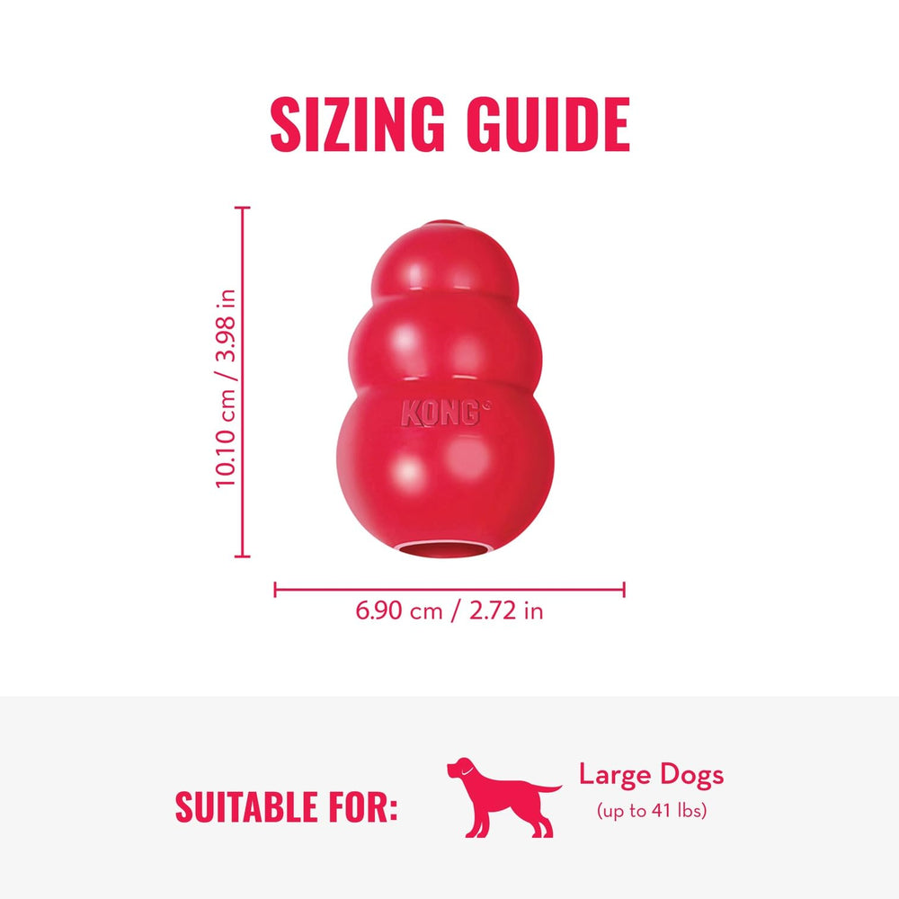 KONG Classic stuffed-treat demo showing treat-stuffed enrichment for dogs.