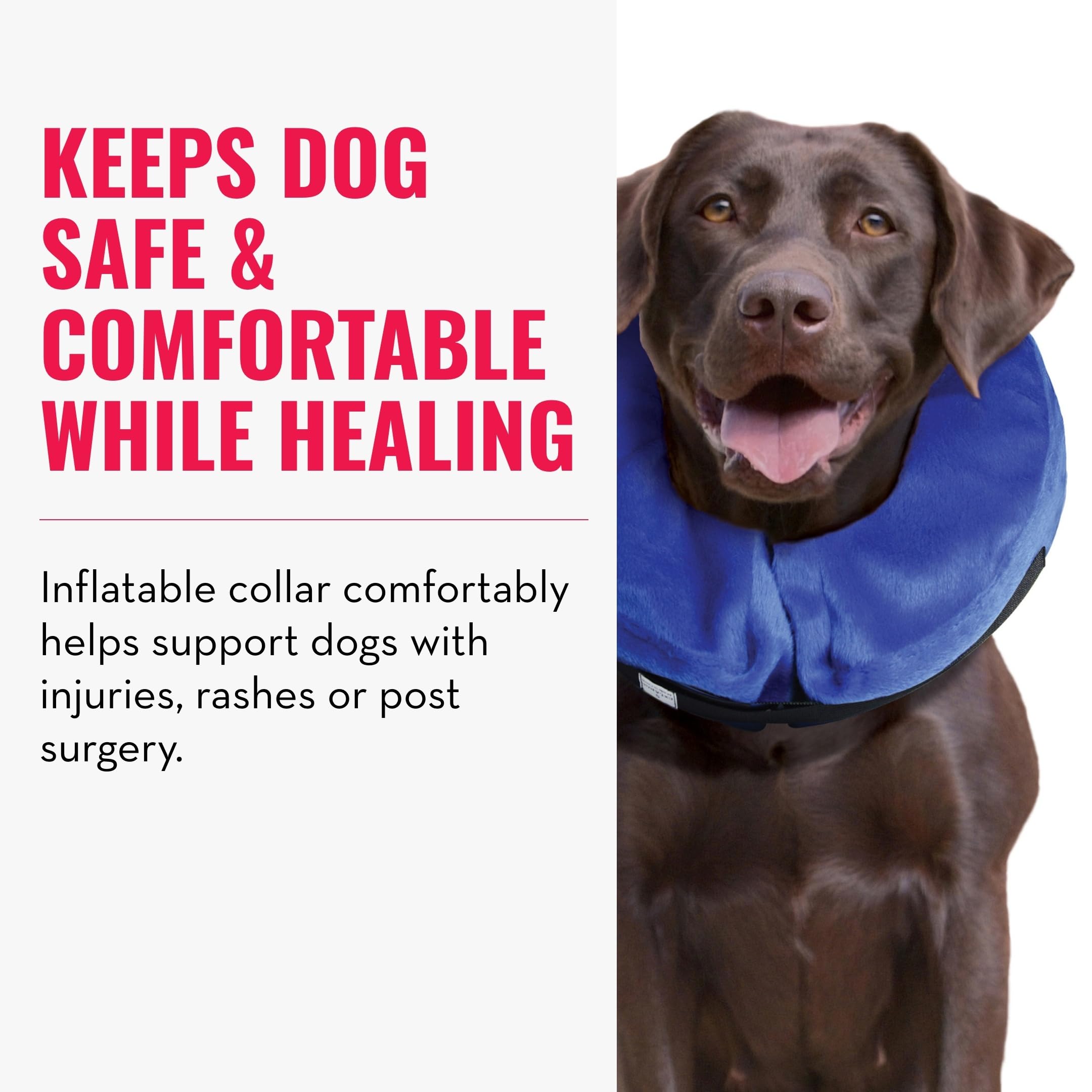 KONG Cloud Collar dog eating with collar enables eating and drinking without restriction