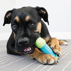 KONG CoreStrength Bone supports independent play and fetch sessions.