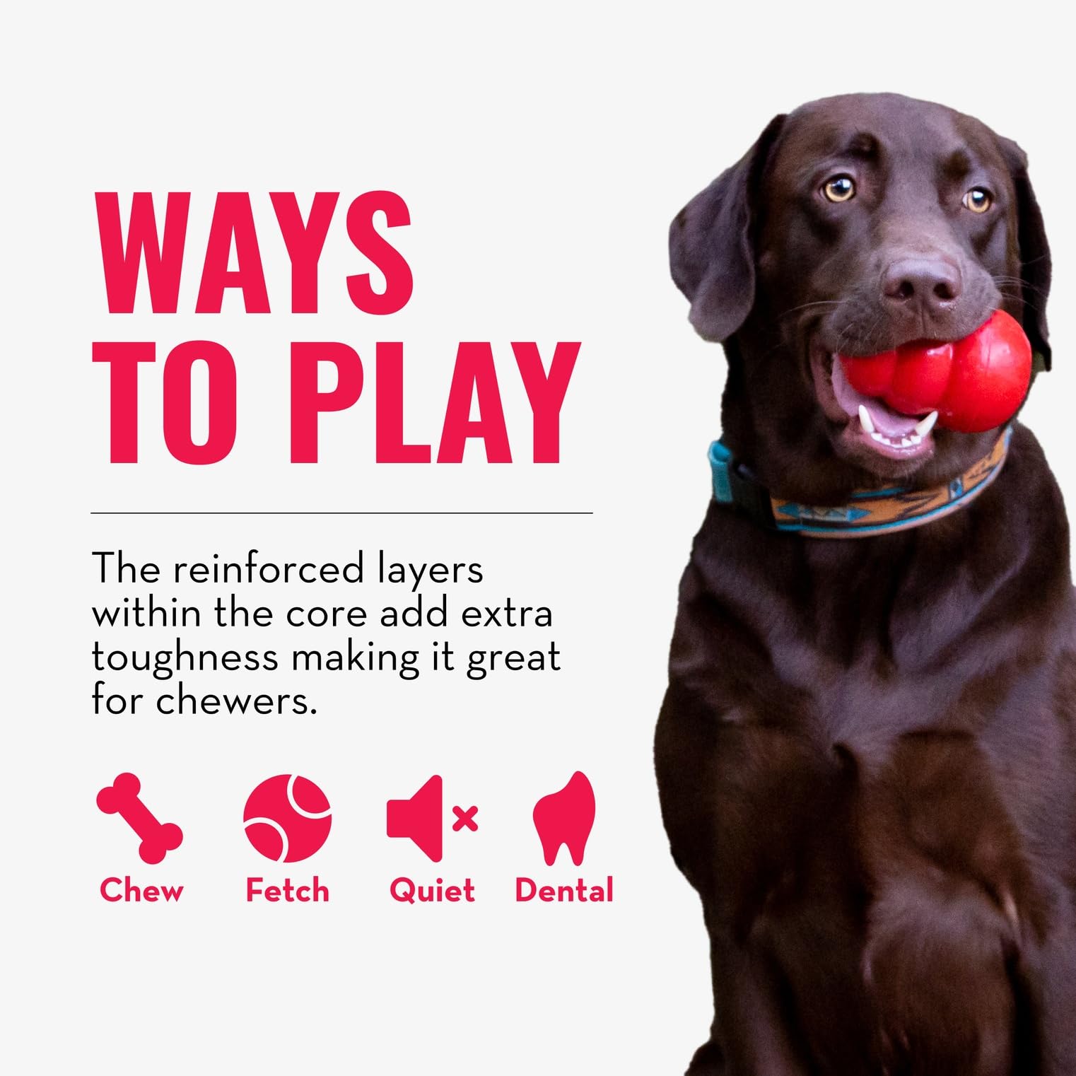 KONG CoreStrength Juego recreativo para lanzar y buscar con perro