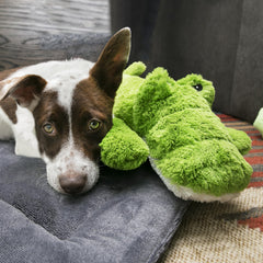 KONG Cozie Ali Alligator XL squeaker to entice active play.