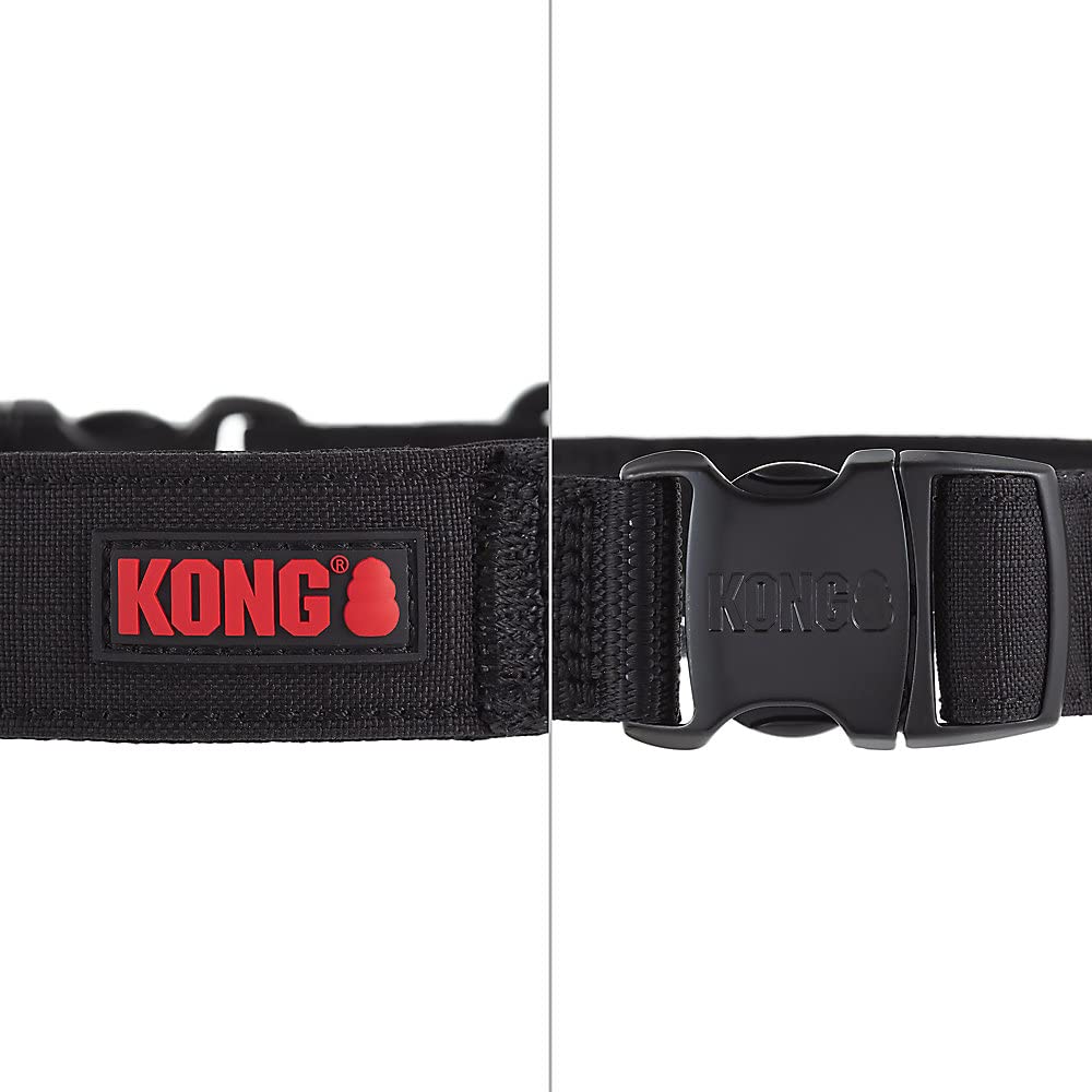 KONG collar shows metal buckle and D-ring for secure leash attachment.