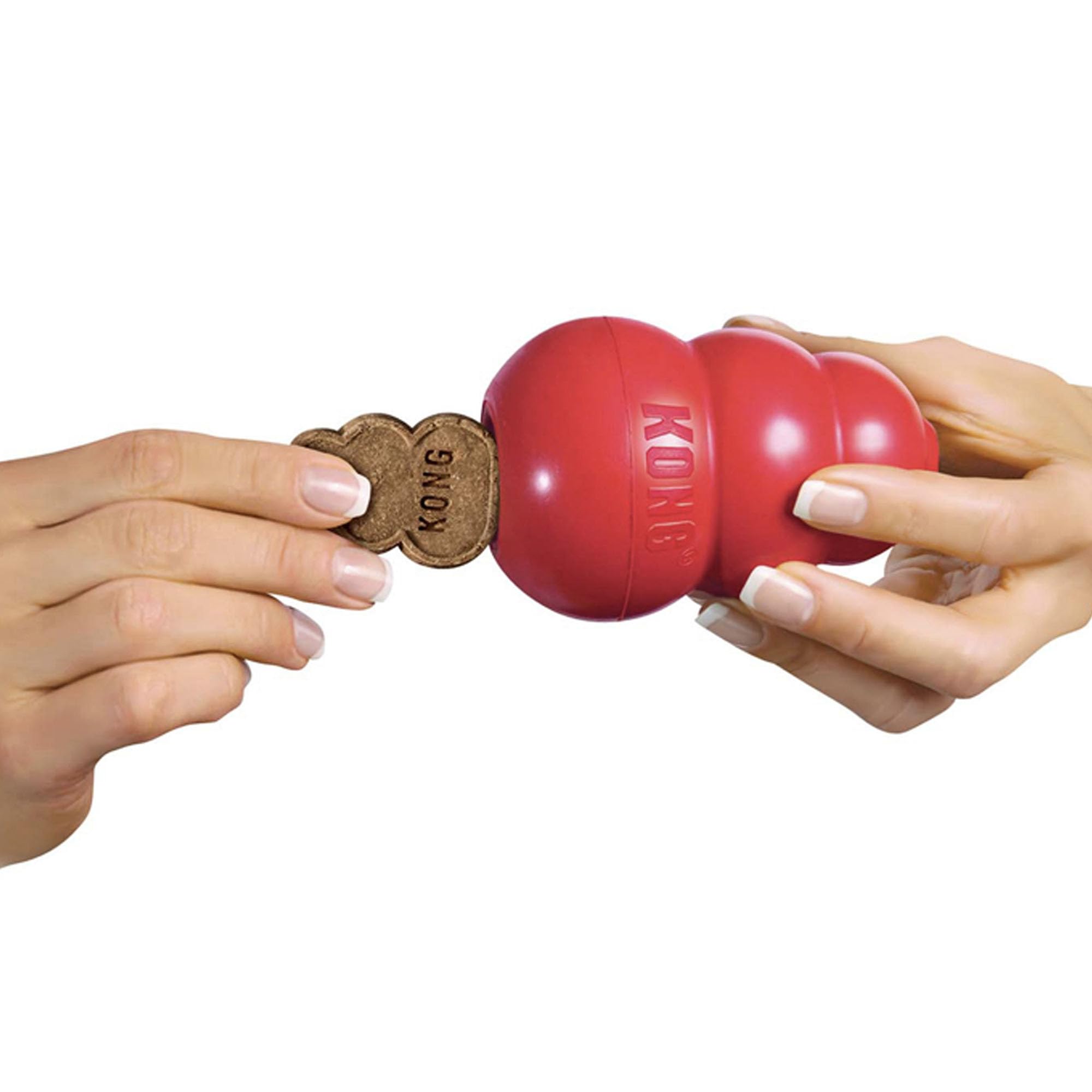 Dog enjoying stuffed KONG with Easy Treat for rewarding play.